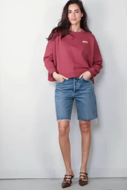 Agolde Short - 90's Short - Ruin