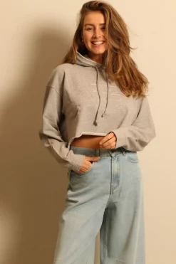 Ganni hoodie - T3567 Isoli Cropped Hoodie - Paloma Melange